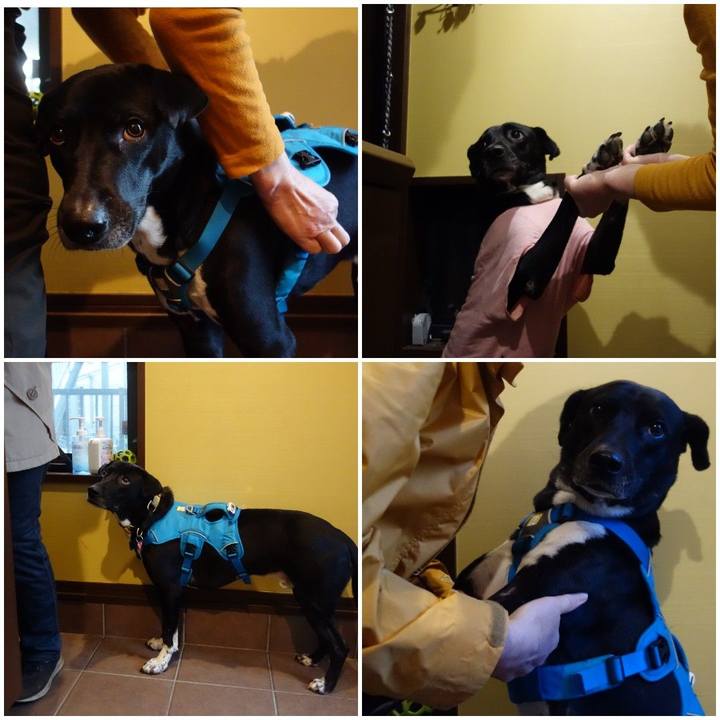 40771202 f903 48f0 bb7c 90e165902ac2 1613346702350