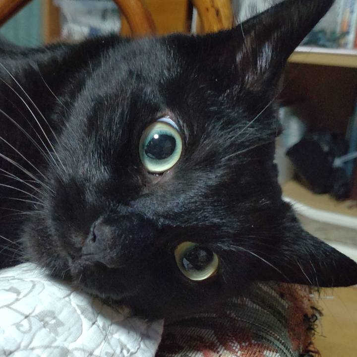 40772c34 3f54 40ee a256 e84d48f60d62 1690369601763