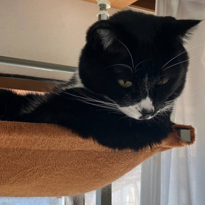 40773d82 ccc2 4949 8680 03cb762768ec 1710386970471