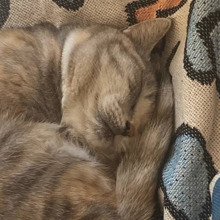 4077442c d31e 4f50 9809 a443af002c2e 1708741586563