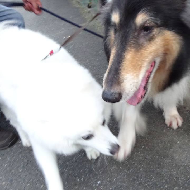 4077462c 59e8 4f16 a2a0 cf988a5d7f3c 1569672340274