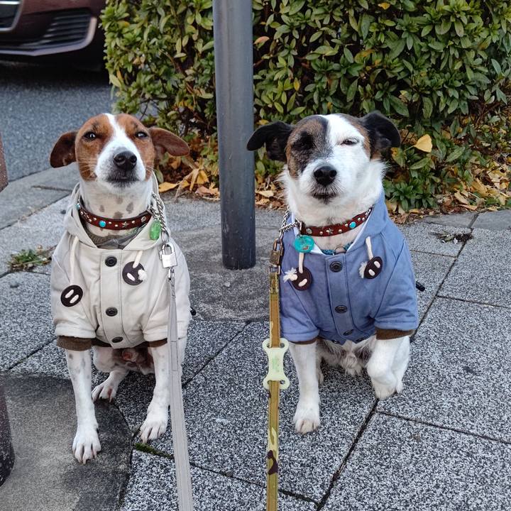 40775f00 c1be 43d0 9214 5970532d732d 1640041101103