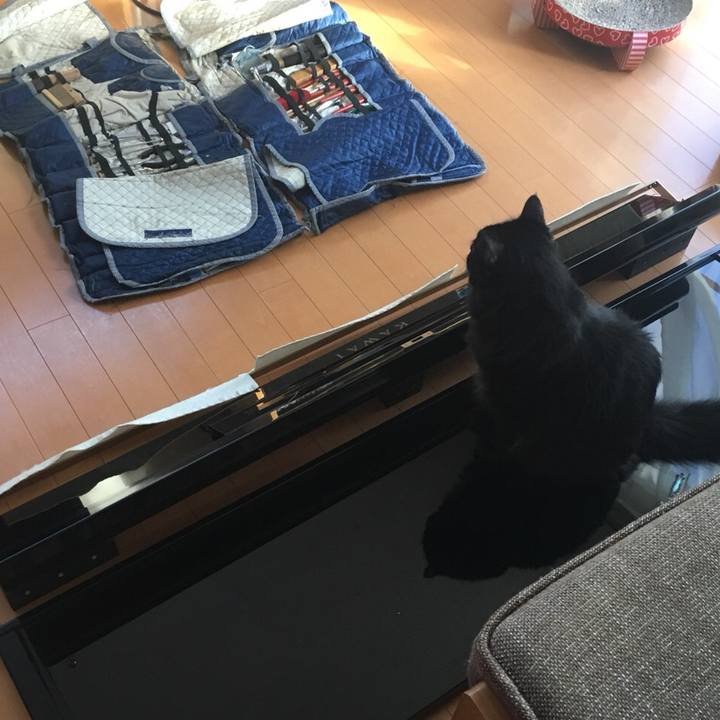 4077bb00 2b30 4229 bf37 a624ed14b8bd 1568868799302