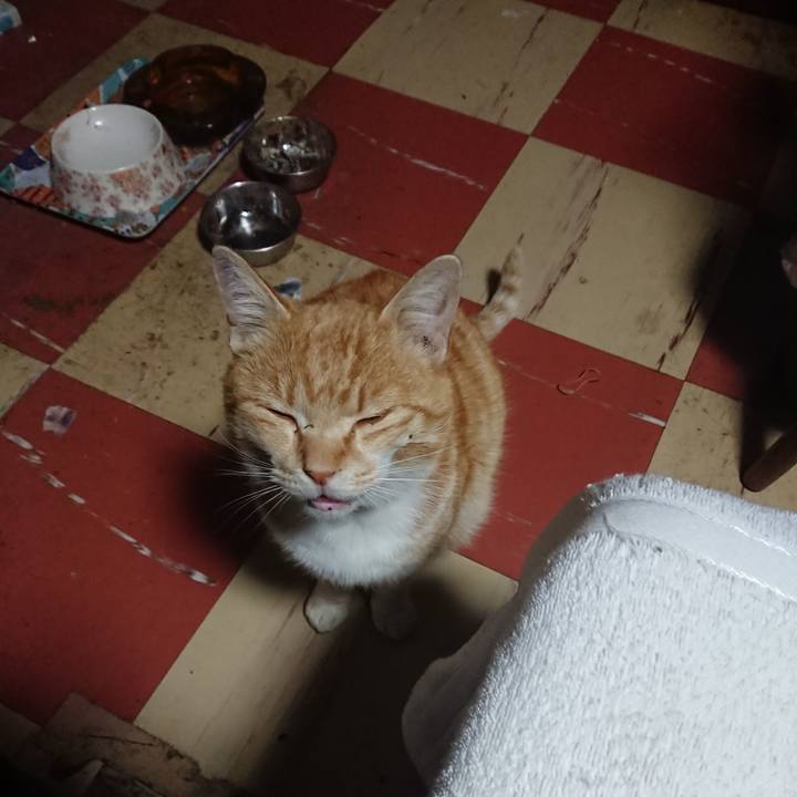 4077cf8c b759 452e ac1e fead555addb8 1585944614878