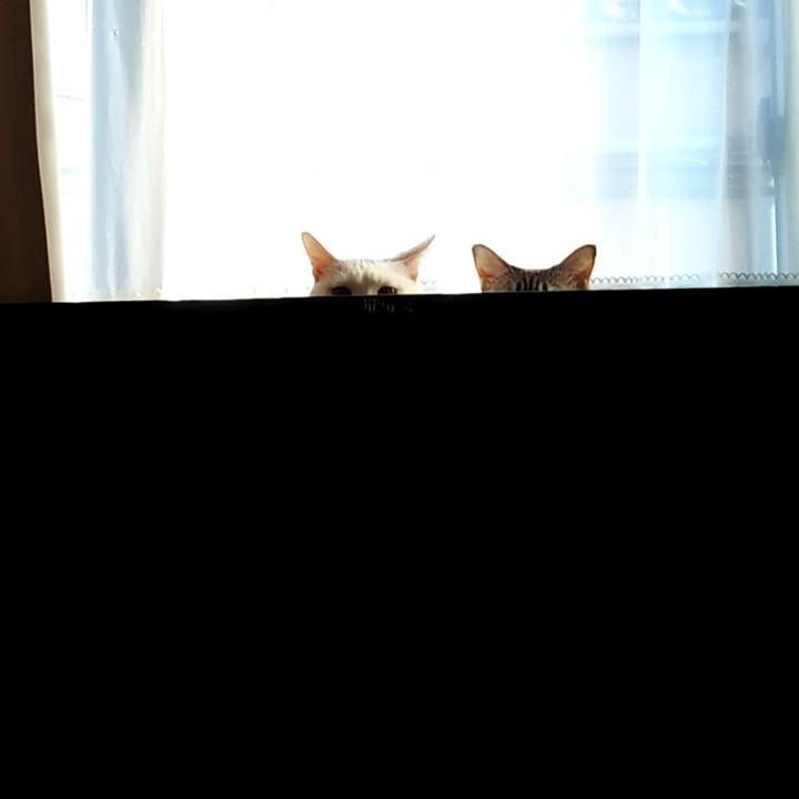 4078020b b166 4e28 939f 5a259996ec47 1609726814386