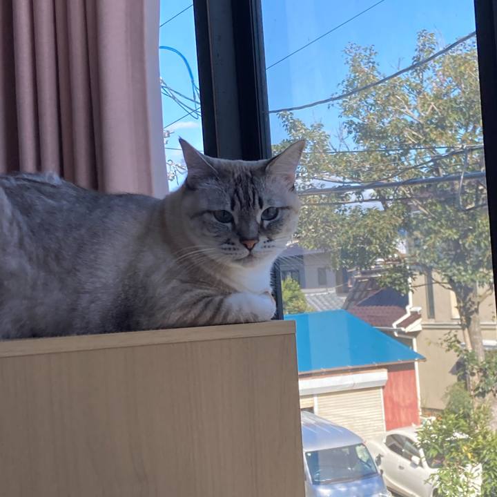 4078296f 7df1 483f 885c a6f0531da835 1704689872462