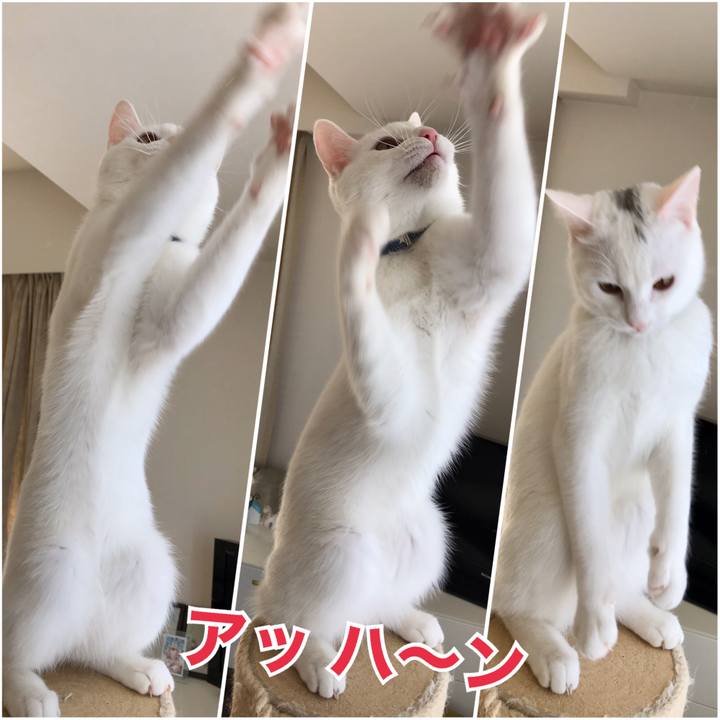 40783d1b 9e7e 446e b6dc b09e11ade83d 1582715444878