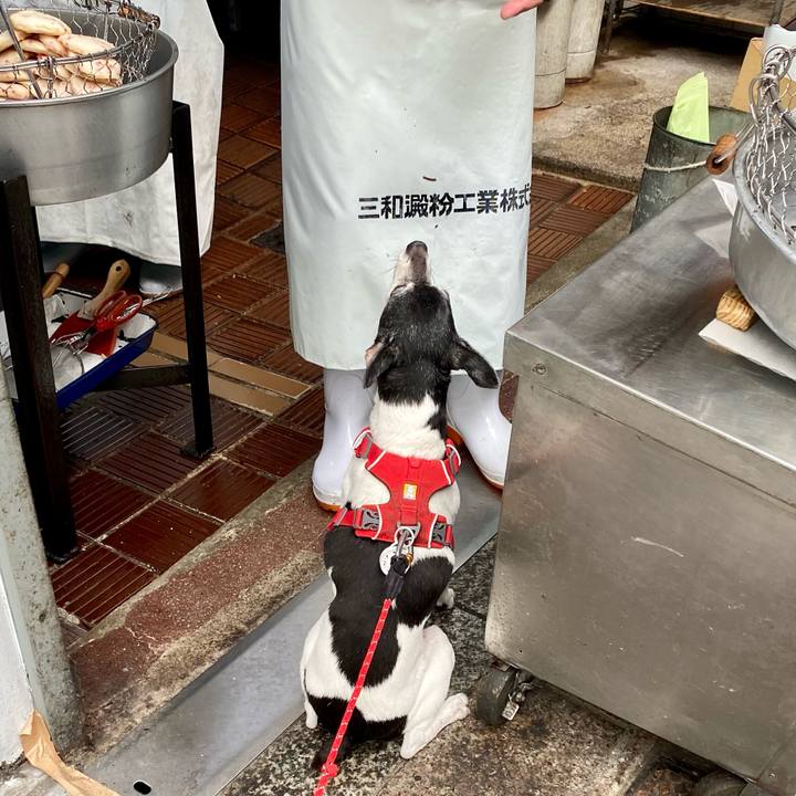 407841bf b14c 4c85 8489 cccc31d7442b 1624158213937