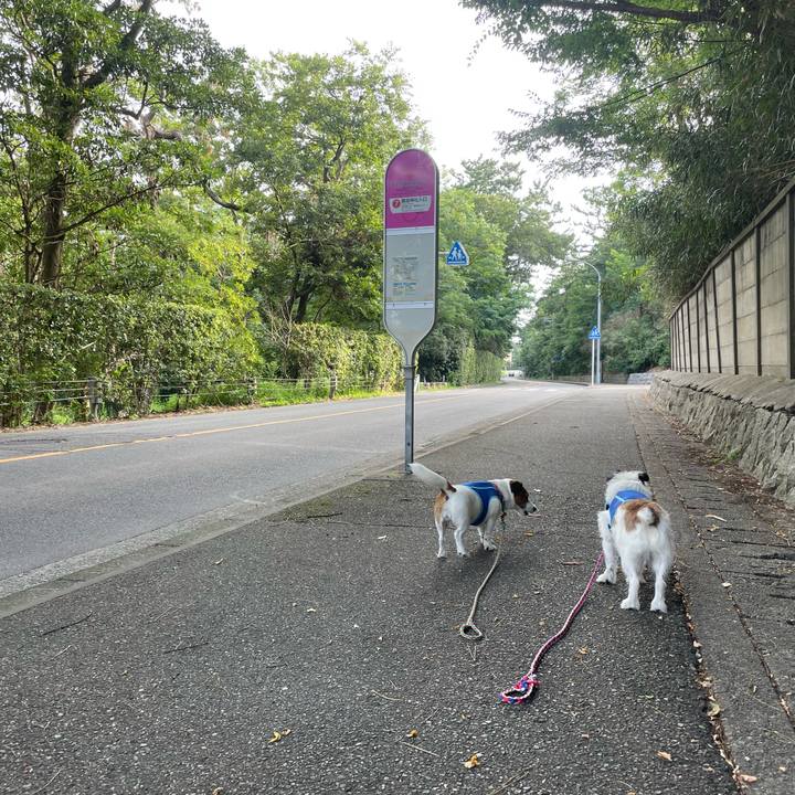 40784732 3758 47c3 af01 609709095d89 1722638514152