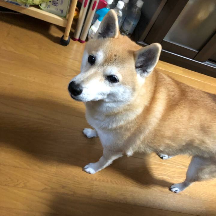 407861c0 975a 4e73 9e0d d3f682089c72 1573207392581