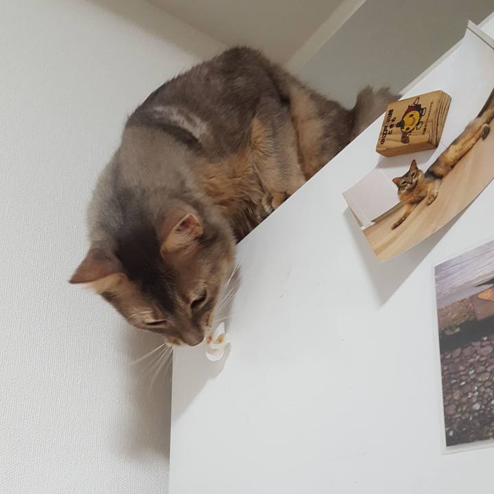 40786d97 88e3 4b11 b227 4ab6537b0d9e 1579958648309