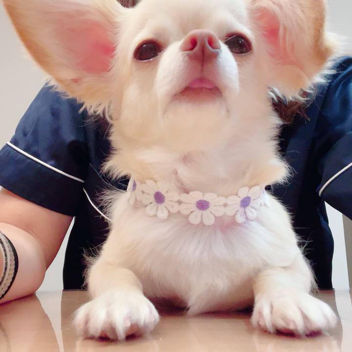 40789580 6b20 430c 8309 8e1a6372550b 1687928857067