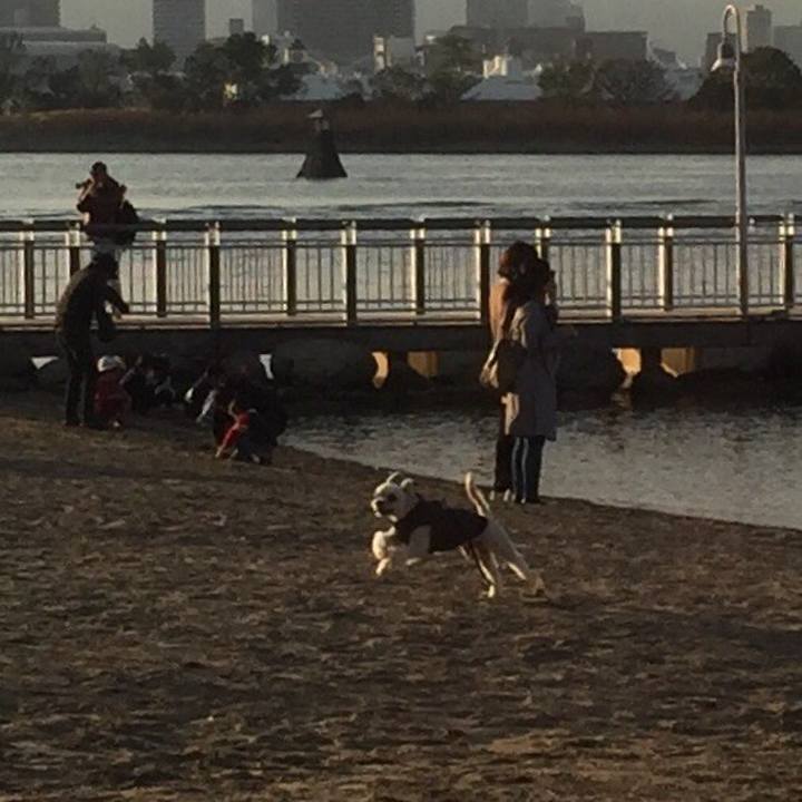 4078d5d4 316b 4c0d a2dd d34990918bb5 1544267246405