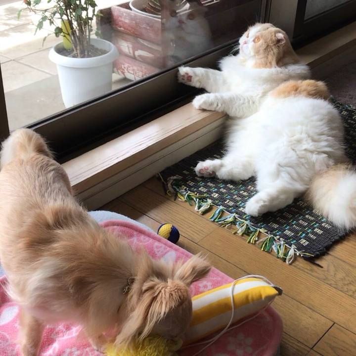 407904d4 15e0 45ce 935e e3214d777bf3 1556716363019