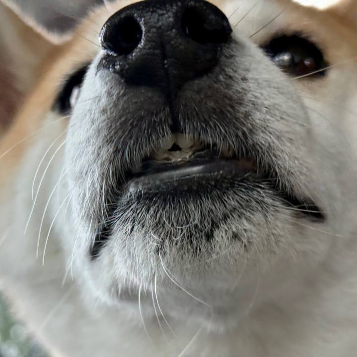 40790827 3cda 42fa 8438 84ff8dd8557d 1762299907702