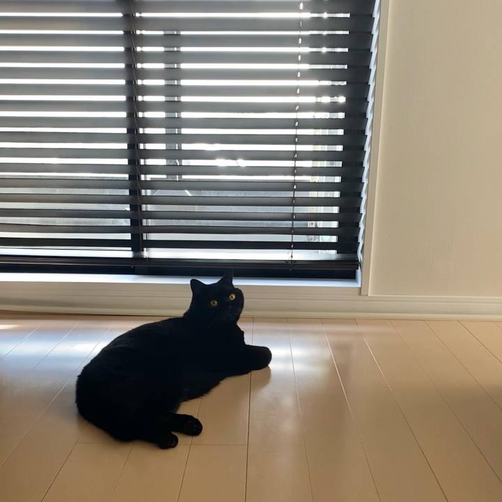 40791e4b cec5 4fb1 9518 f8f364462093 1621926725163