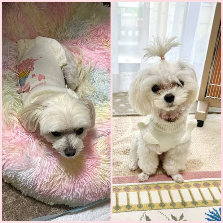 40792410 541f 4eb0 ab26 b3f561fc17fb 1732107390318