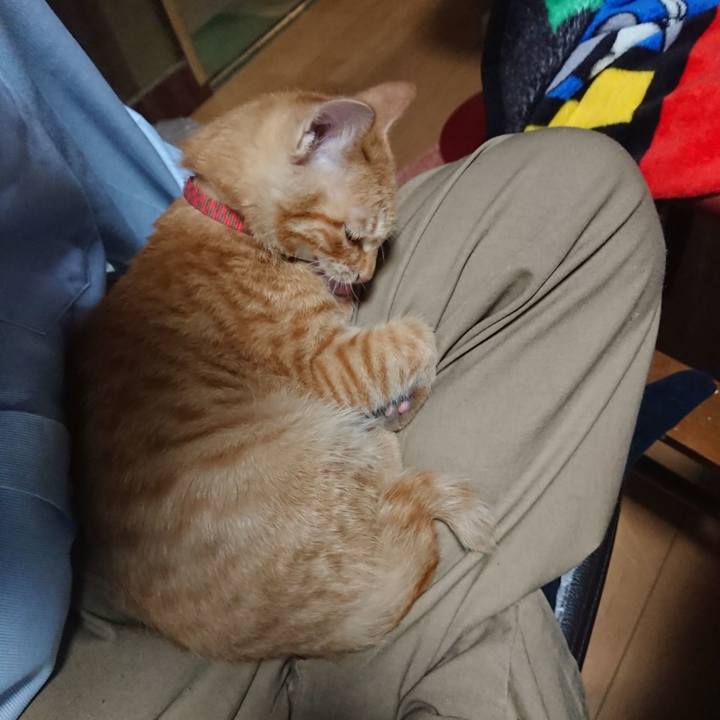 407947d2 24cf 4e7a 99e3 87e1086c1b4a 1633512811291