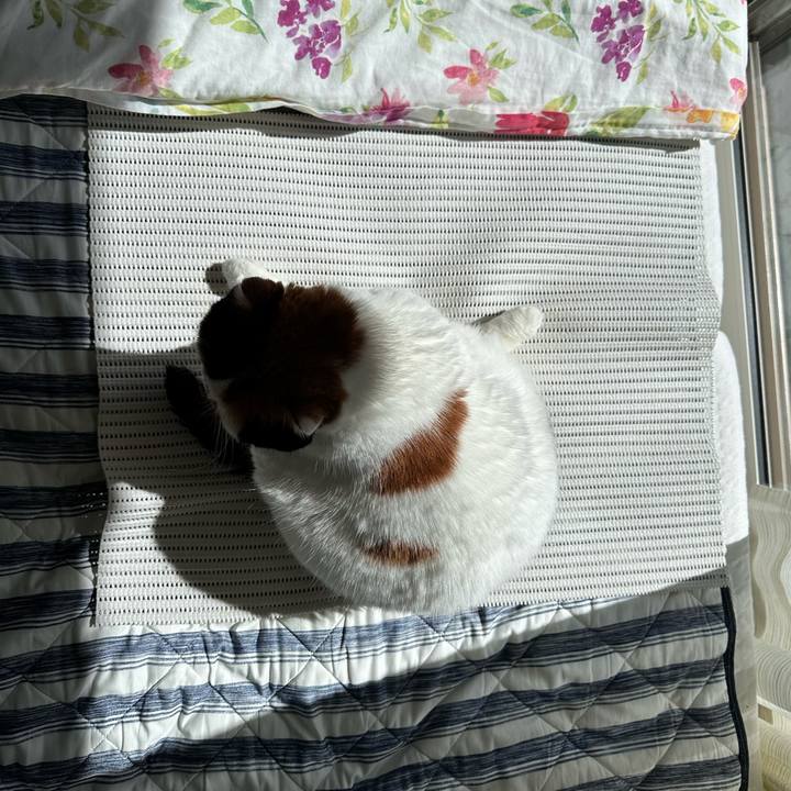 4079524b 117d 4b7a b950 06718dcb9067 1695390840870