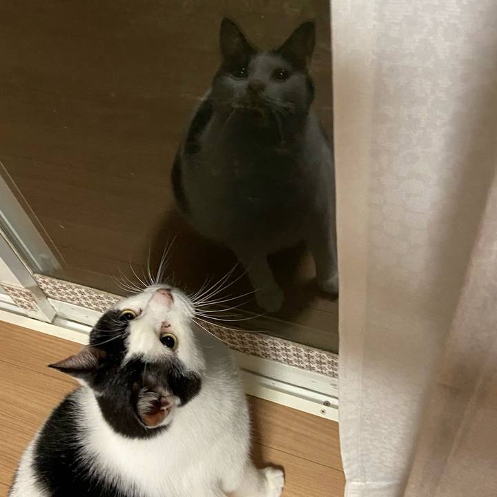 40795ef8 b9bb 41f8 b664 9e84f95f9737 1599915186443