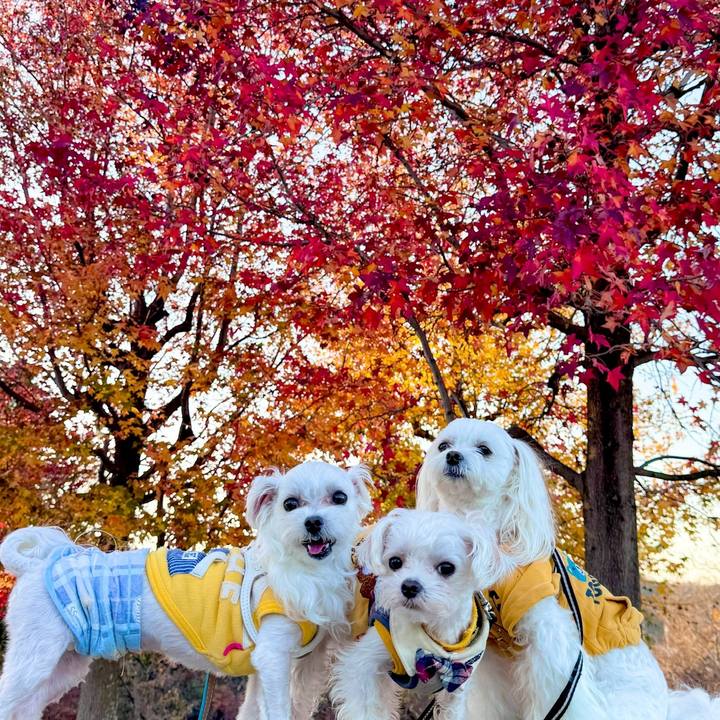 407983ef 0e8e 42b3 9542 bb429e65daf2 1702212026531