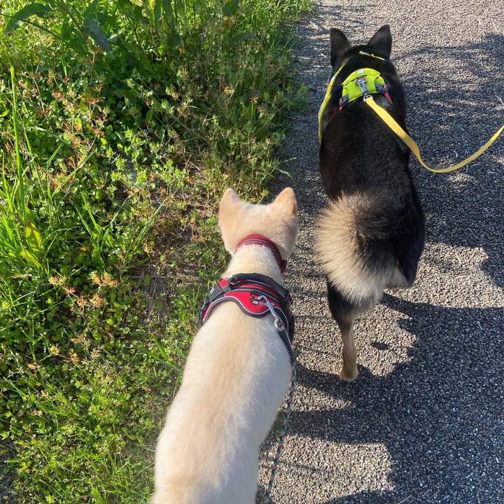 4079883f 16c1 423c 8019 1dbc1c0693db 1714812999929