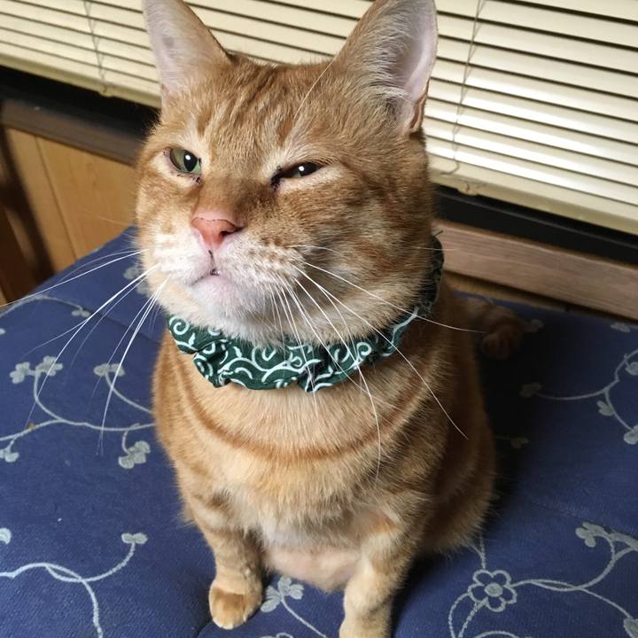 407995db 2818 4972 89cb 37553867091c 1550234315243