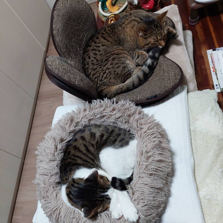 4079a1aa 0e14 461d b0c5 4ef3b387b924 1741038360029