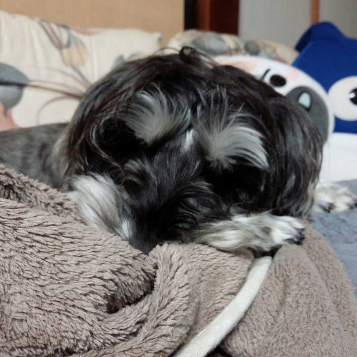 4079bbb2 cc49 4009 8ffd 38691bfe6969 1510141558725