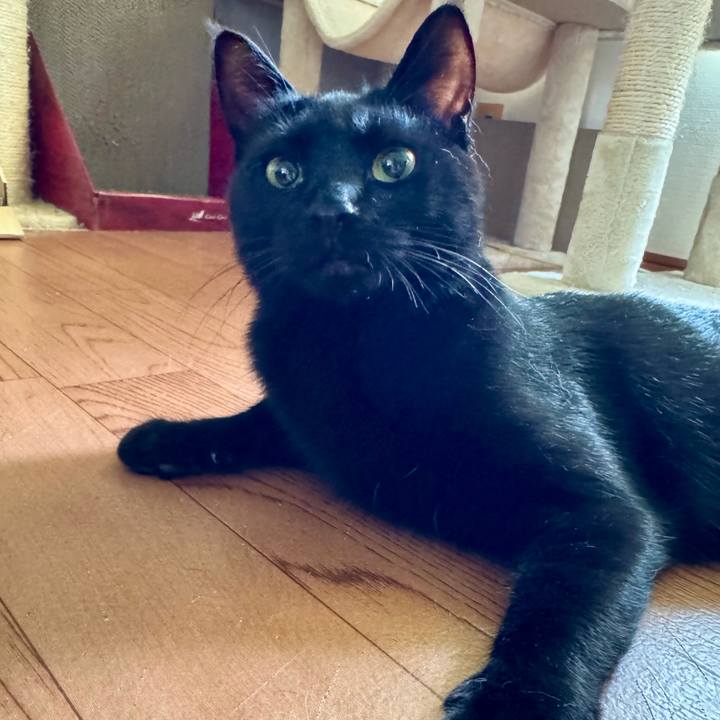 4079ccb0 0584 4369 819c 6f251c37284c 1755389866812