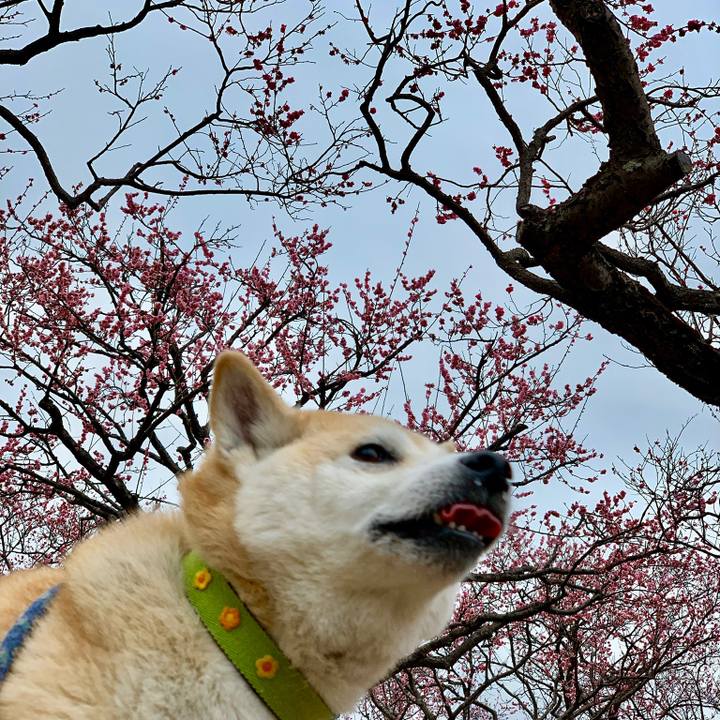 4079e9f5 a2e9 49a1 9428 99a4cddba1cf 1552064429778