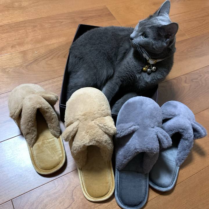 4079fdfe 350e 4aa4 b2f7 04477e0a1b65 1630933497404