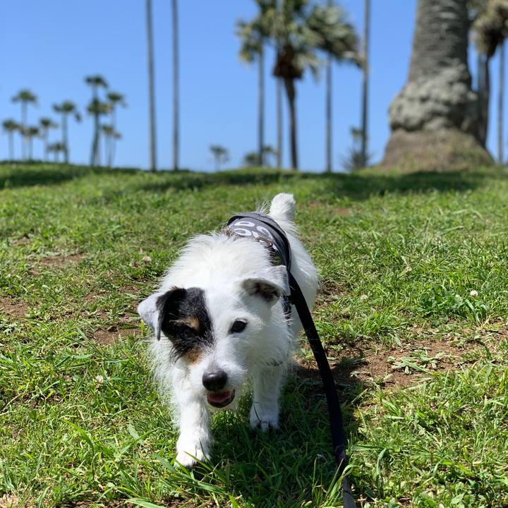 407a03dc 7abb 43e9 bd72 c08d5f8b116a 1715390456518