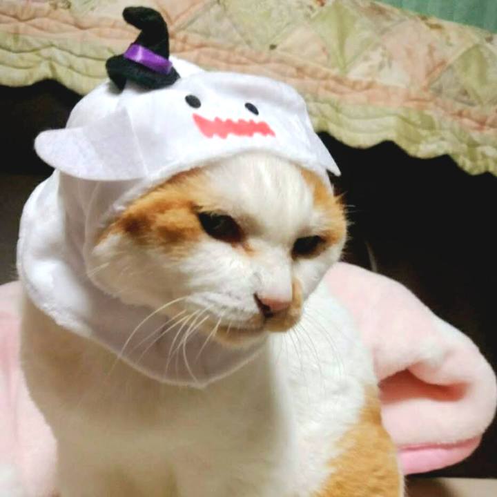 407a825c 1a7a 4967 bdc3 8368eebfb629 1698572568336