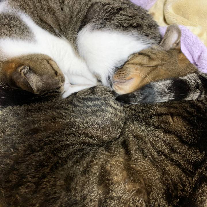 407ae781 04c4 4984 9fd0 cff0e57fde10 1583630356904