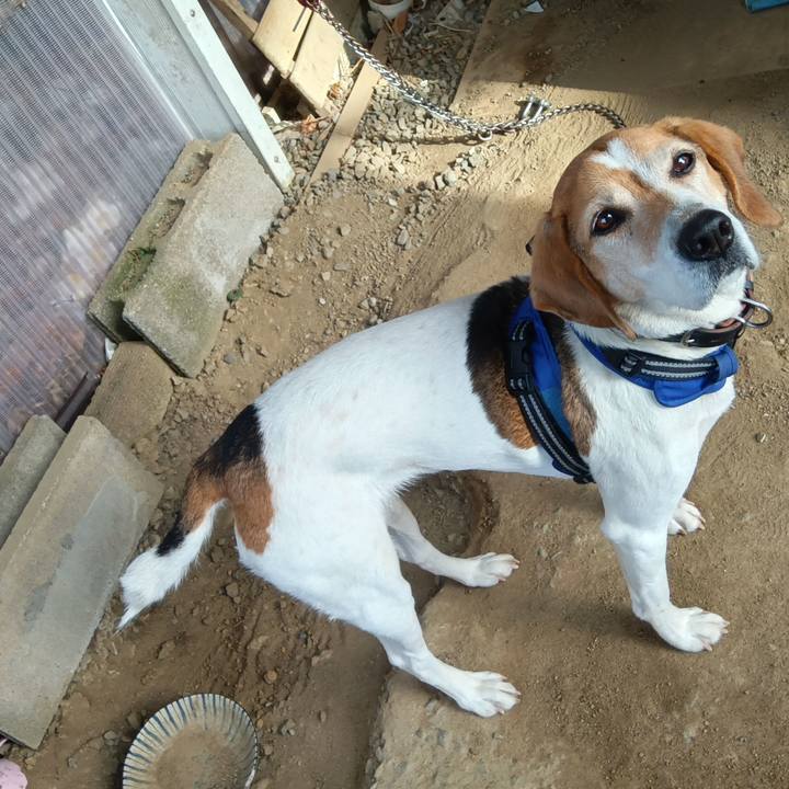 407af0ef f1a5 4aec 873f 5e8aa19398fd 1742886966487