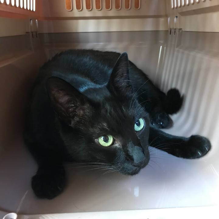 407b28dd 5673 4b4b bbc3 a200c5e3ebcf 1531789615287