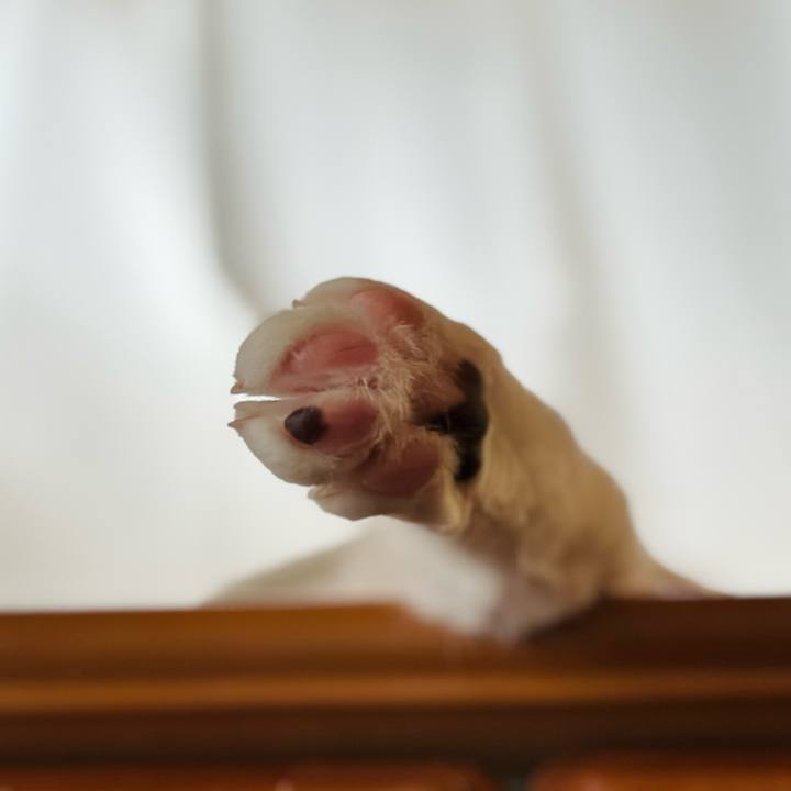 407b3788 dbc2 41a5 8f91 ddc13a110e7f 1714528733960