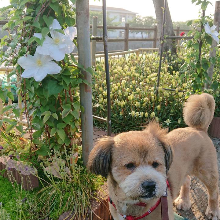 407b4466 a6d1 4557 a53f 0bd254b49151 1557133841194