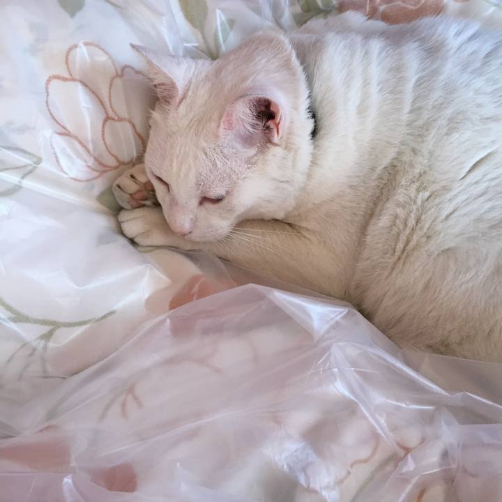 407b4adc 1352 4bcd 8717 0b05b9341822 1556855942947