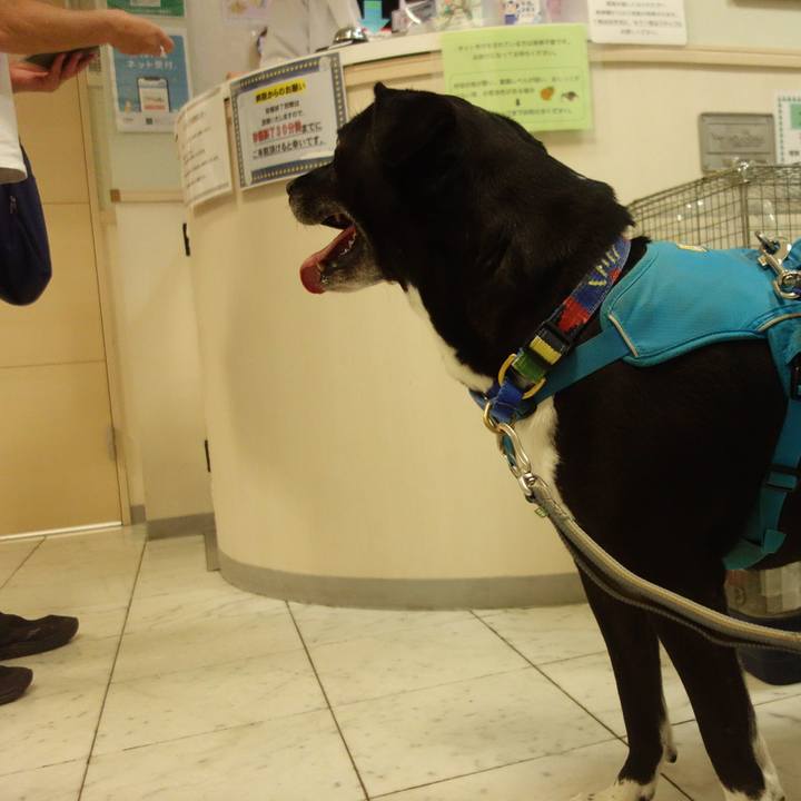 407b5579 8f6c 4a96 a6e9 f00f3a4a86dd 1692701014879