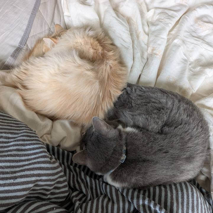 407b7bb1 f3e1 4e2d a951 56d325da958d 1743556240952