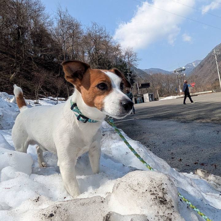 407b8290 40ab 495e b116 d0aea7afd084 1742906332295