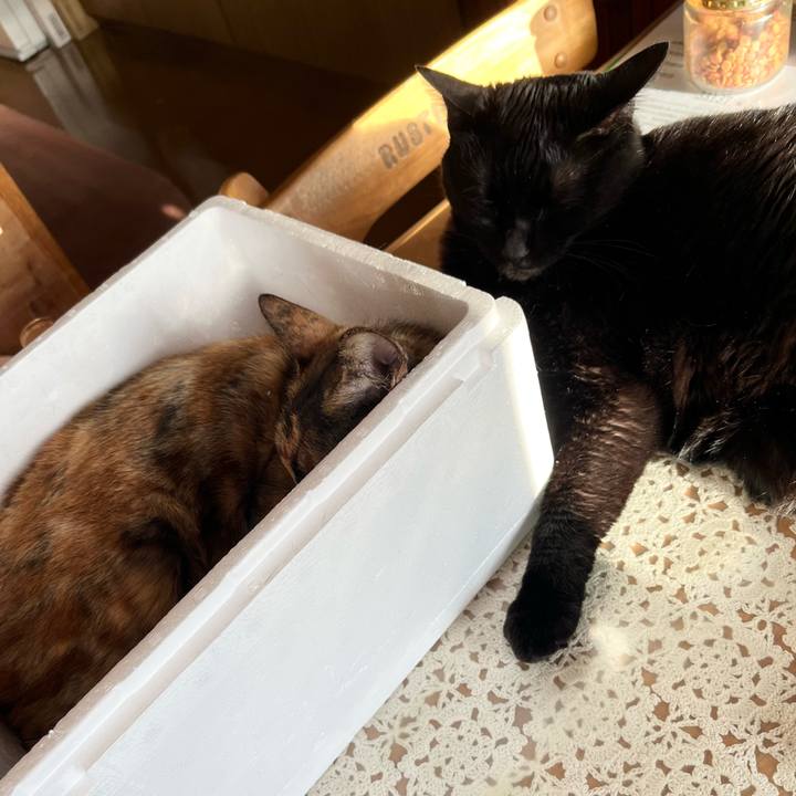 407bd2af 7f67 421f ba4d 5adbf68f7273 1768088610908