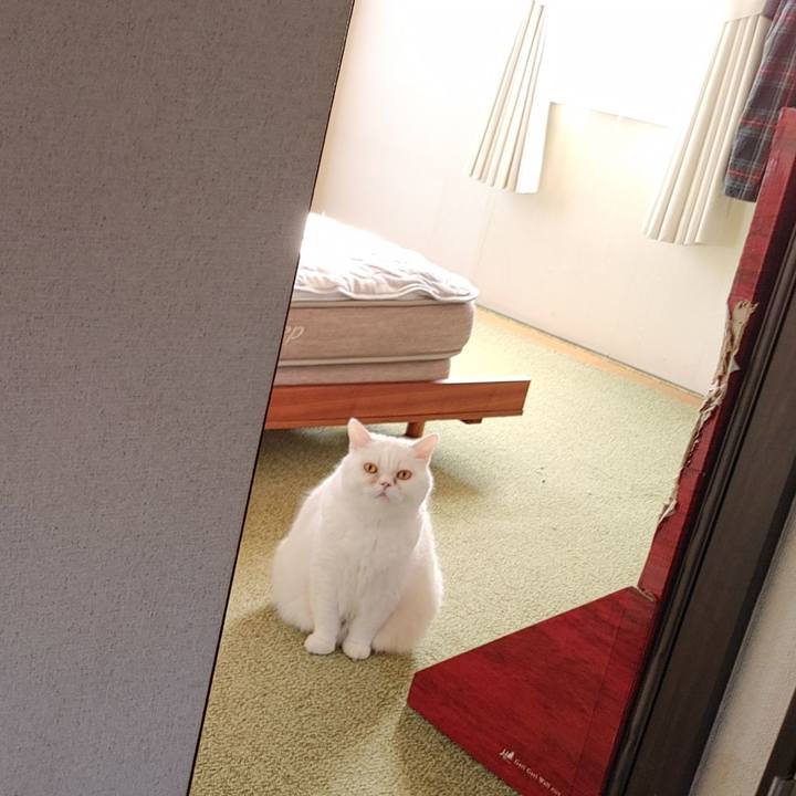 407bdb81 a120 4bea ad90 b4cb0e1463cd 1704695782297