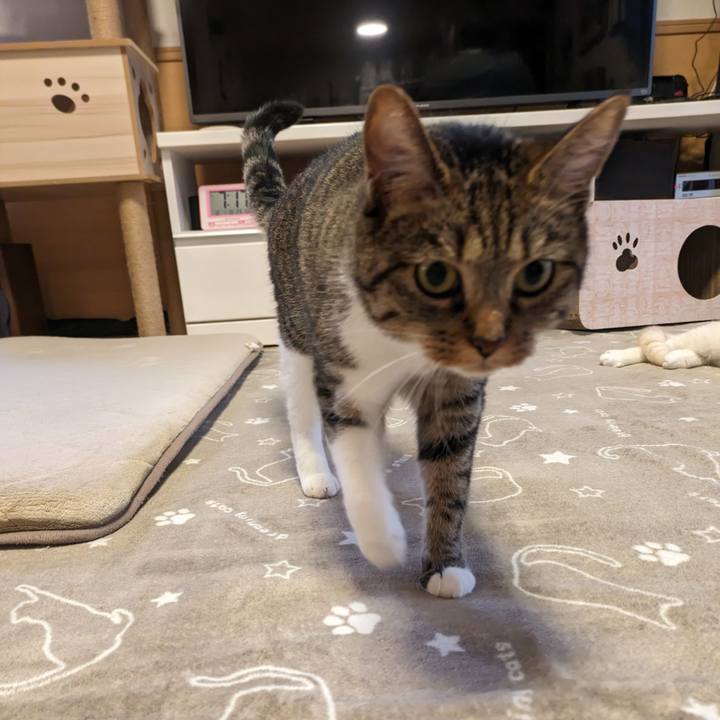 407beb5f 523e 4858 963e 5c9aa070b875 1696122263179