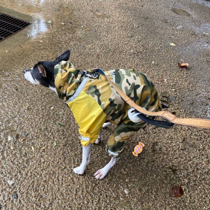 407c19f9 1457 46bc 818b ff41097115cd 1602294533071