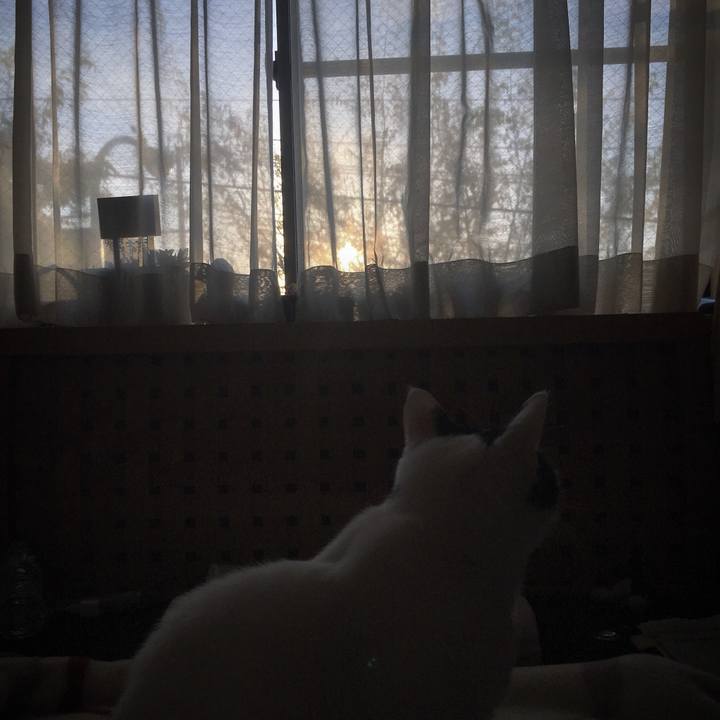 407c20ad fdba 4000 8c7a bddab71081a0 1523230652371