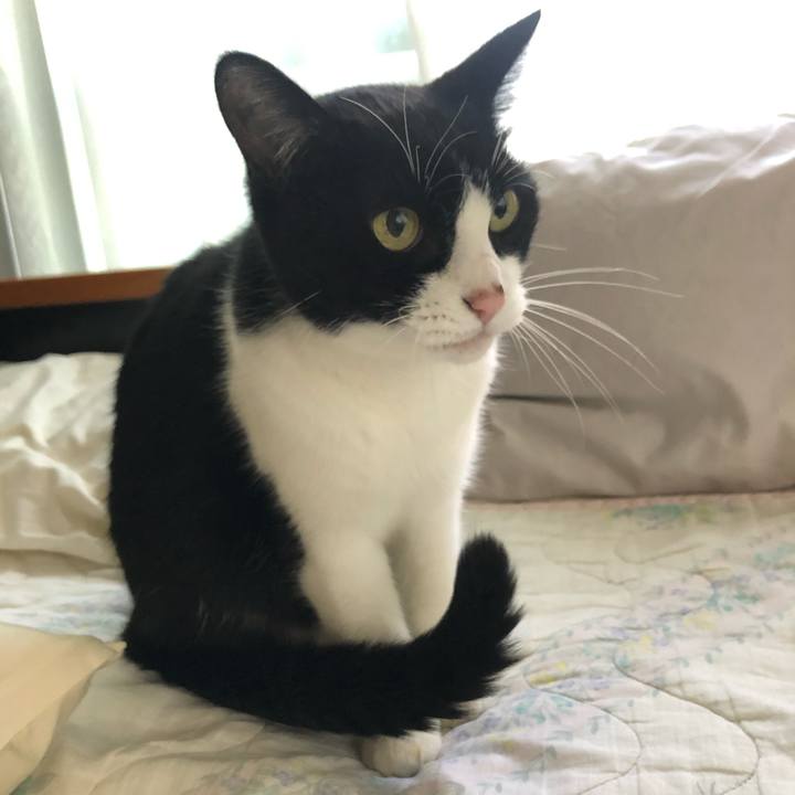 407c20f0 69b5 45f9 920f c50e9501f2fe 1604926611820