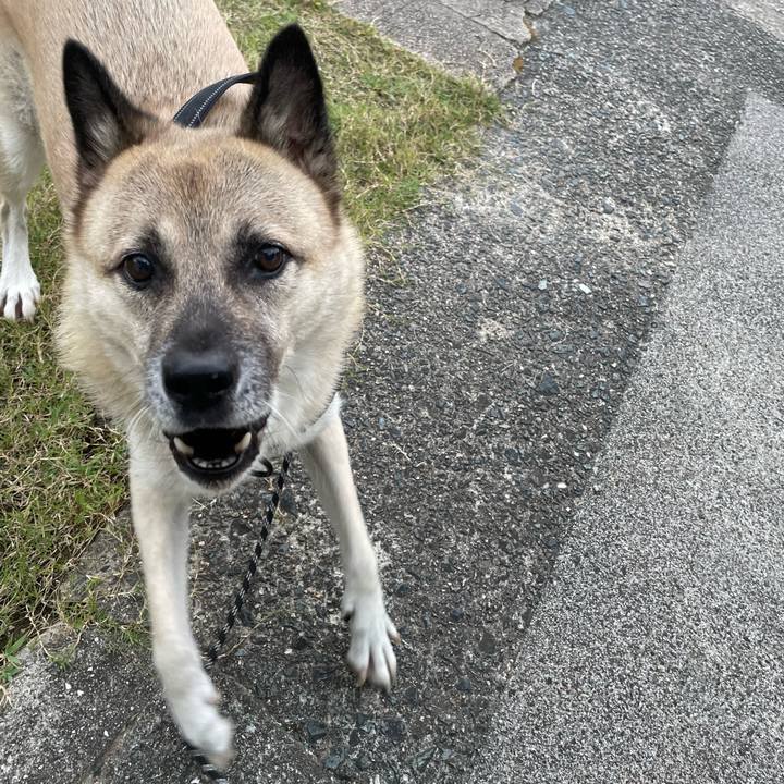 407cb228 c618 482d 8a45 7391181a032b 1725453788252